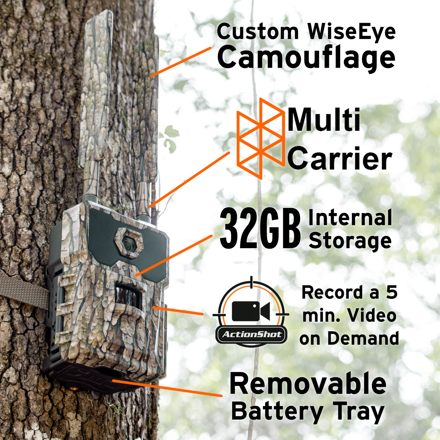 Wise Eye DC-2